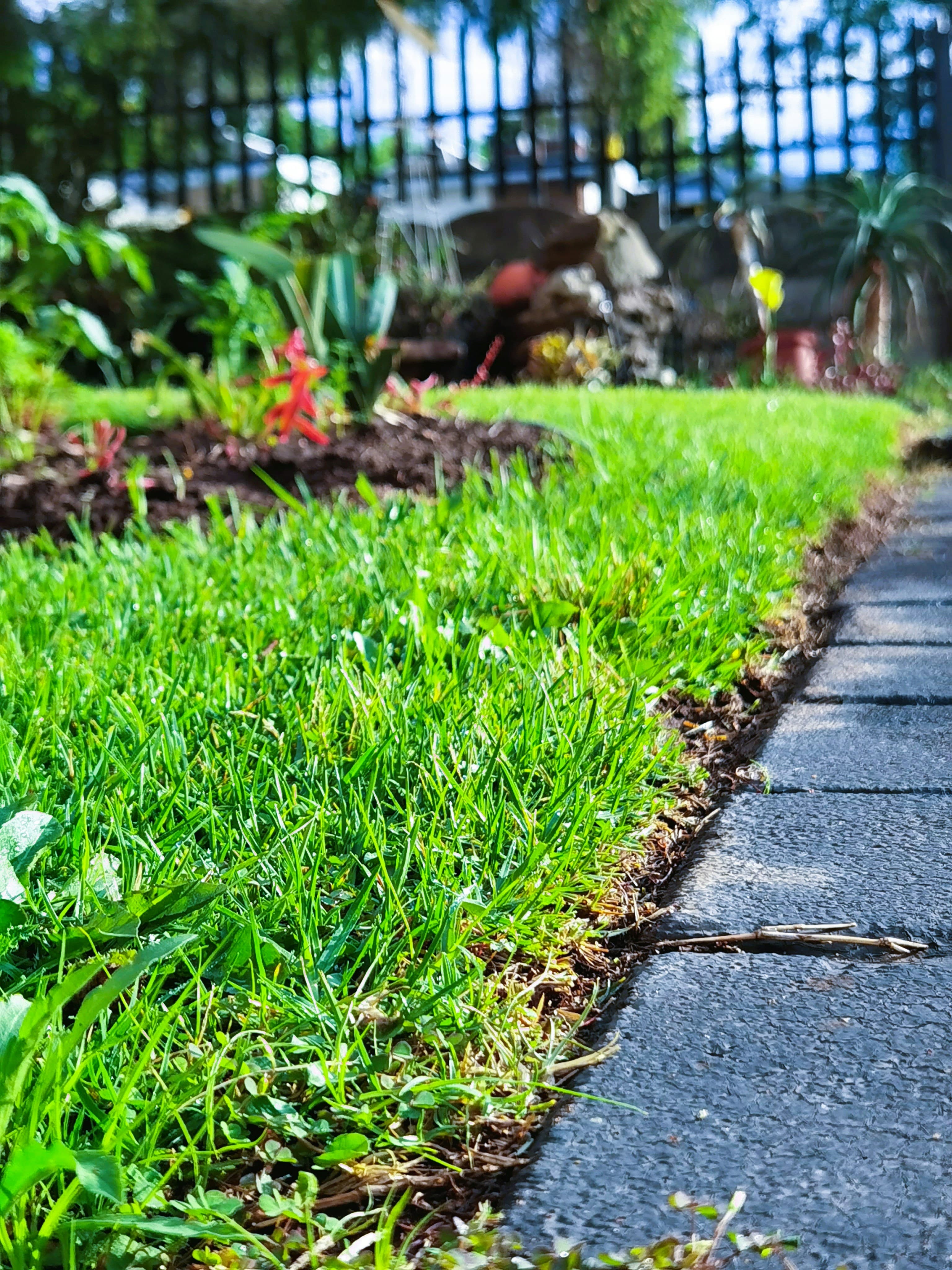 Lawncare Services